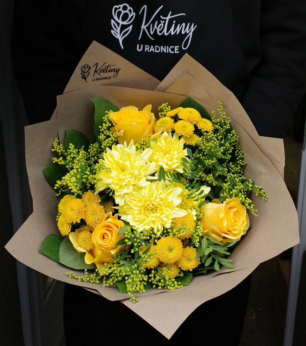 Pokojova rostlina - 540 Kč